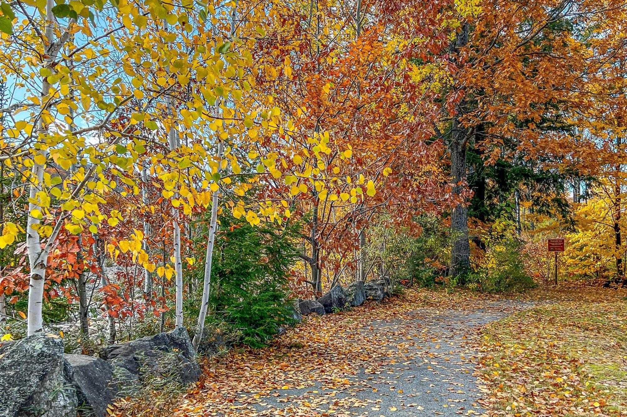 Autumn Colors Condo At Rivergreen Lincoln Dış mekan fotoğraf